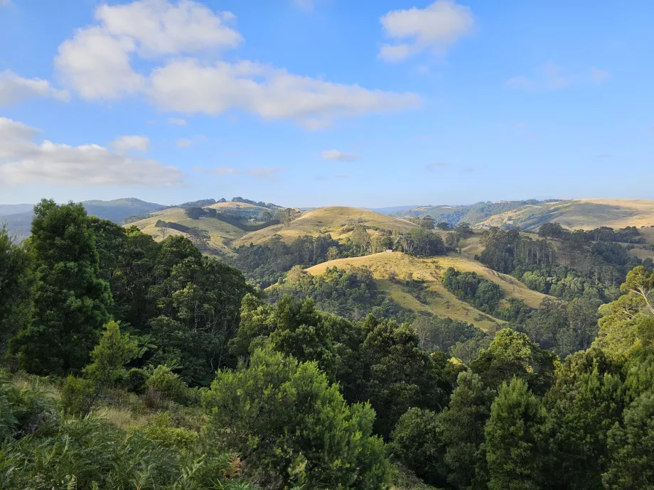 Park Narodowy Great Otway