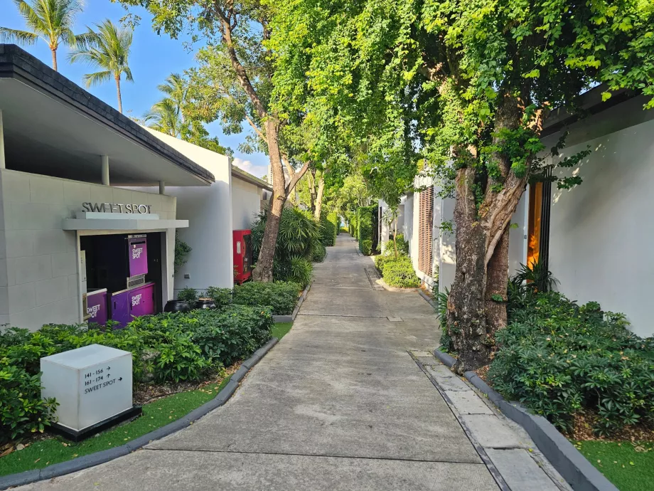 Wille bliżej plaży