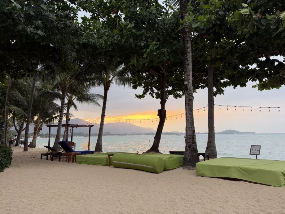 Hotelowa plaża z leżakami o zachodzie słońca