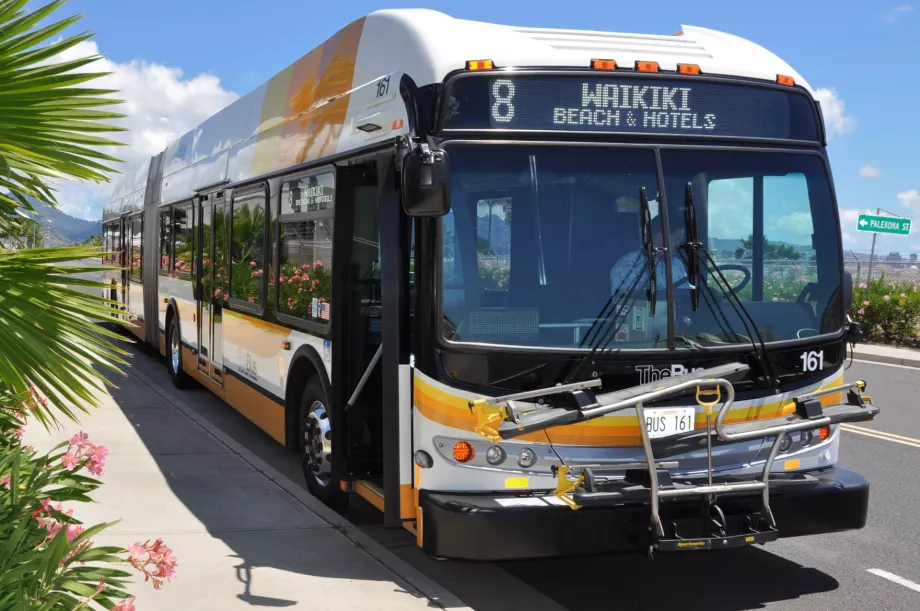 Autobus Oahu