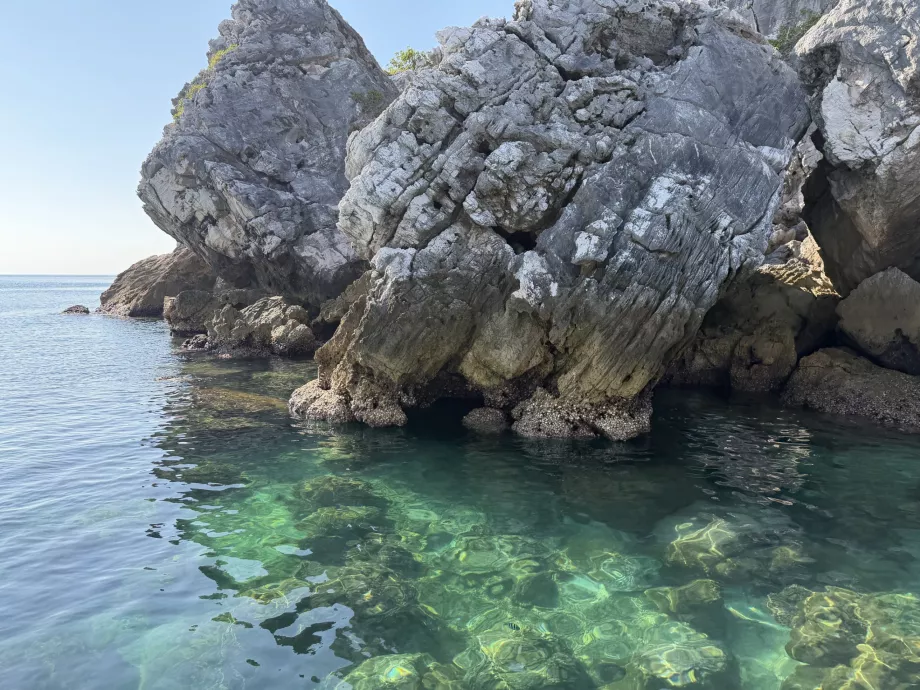 Miejsce do nurkowania