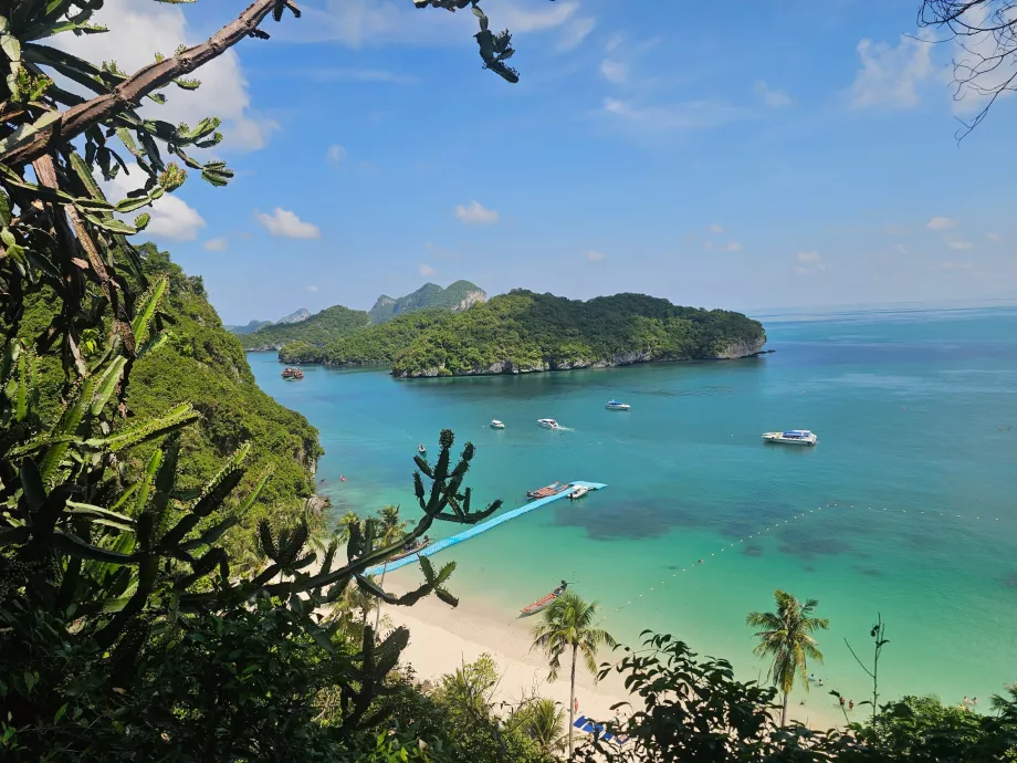 Szlak do najwyższego punktu widokowego