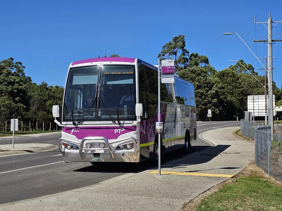 Autobus V/Line