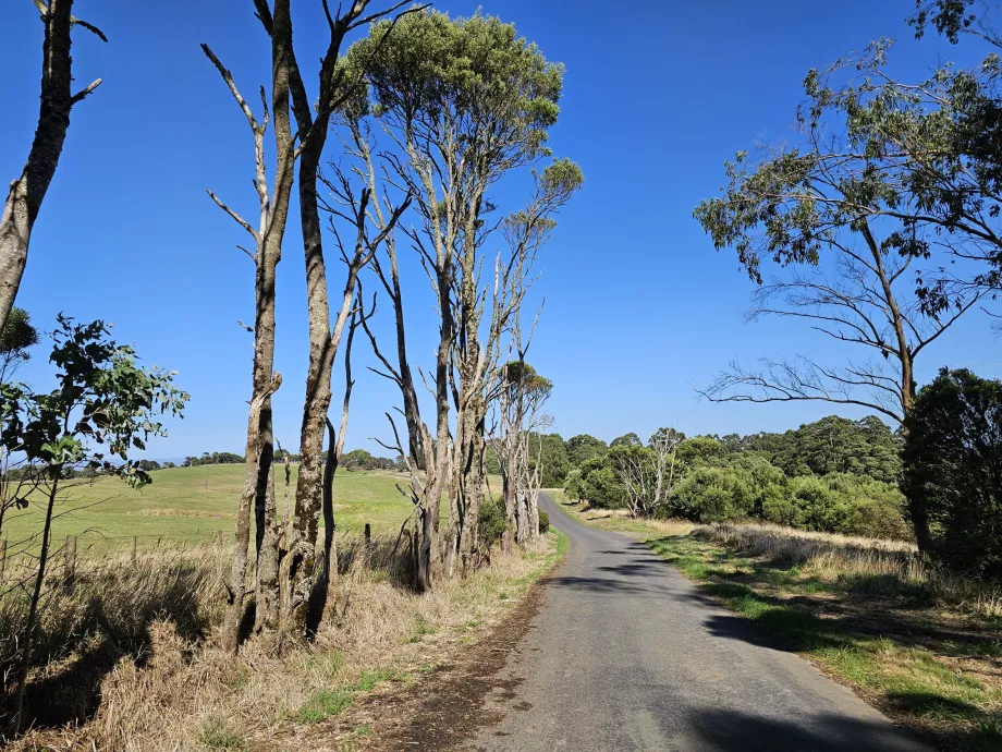 Park Narodowy Great Otway