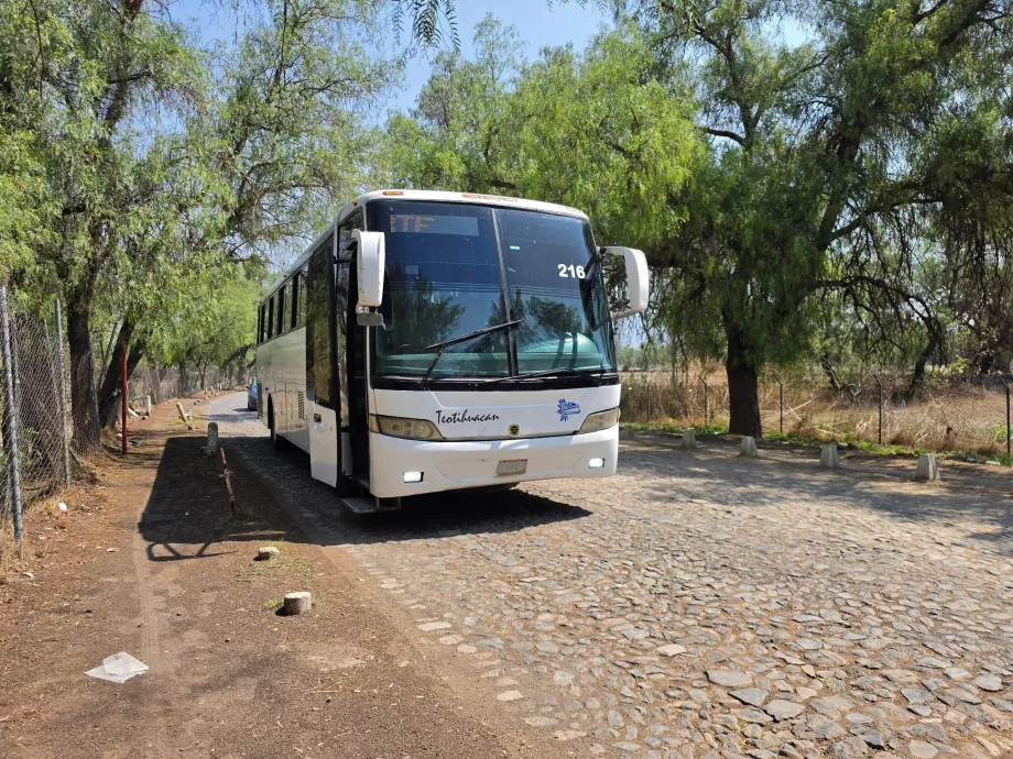 Autobus Teotihuacán <-> Miasto Meksyk