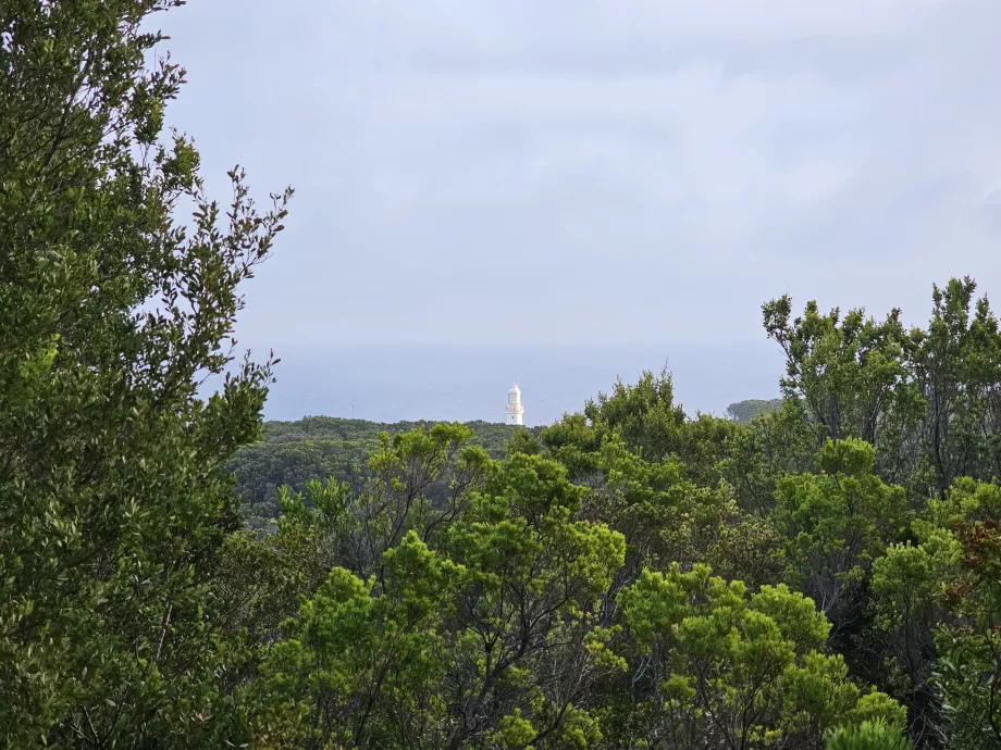 Jeden z niewielu widoków na latarnię morską z Great Ocean Walk