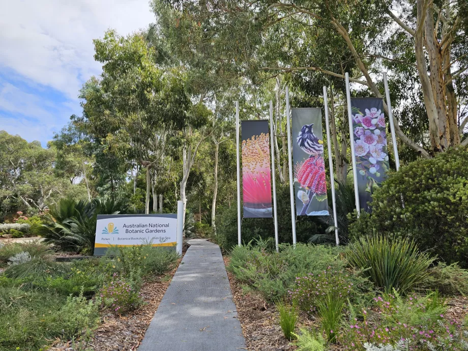 Ogród botaniczny