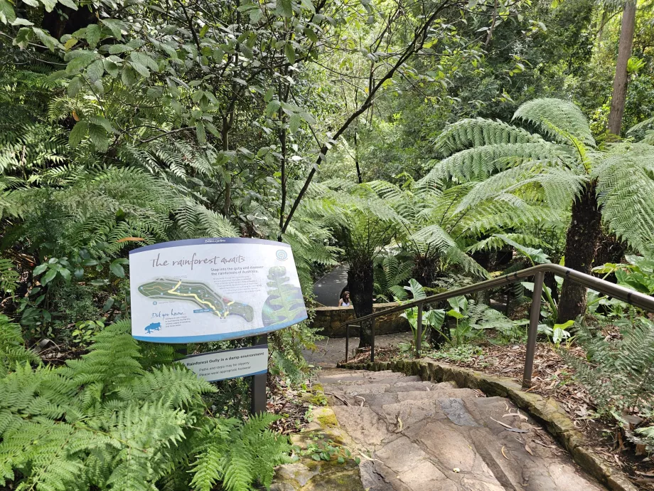Ogród botaniczny