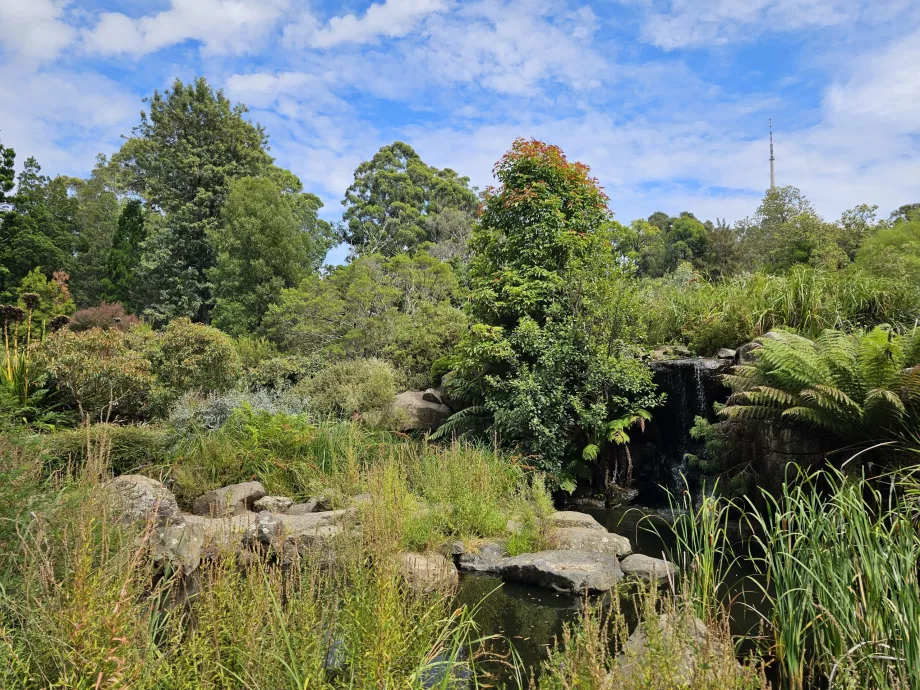 Ogród botaniczny