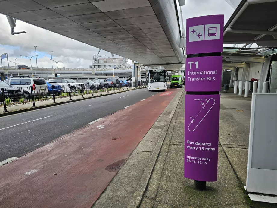 Przystanek autobusowy, Terminal 3