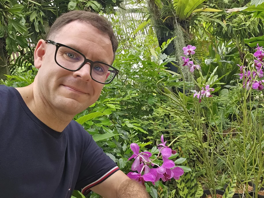Ogród orchidei