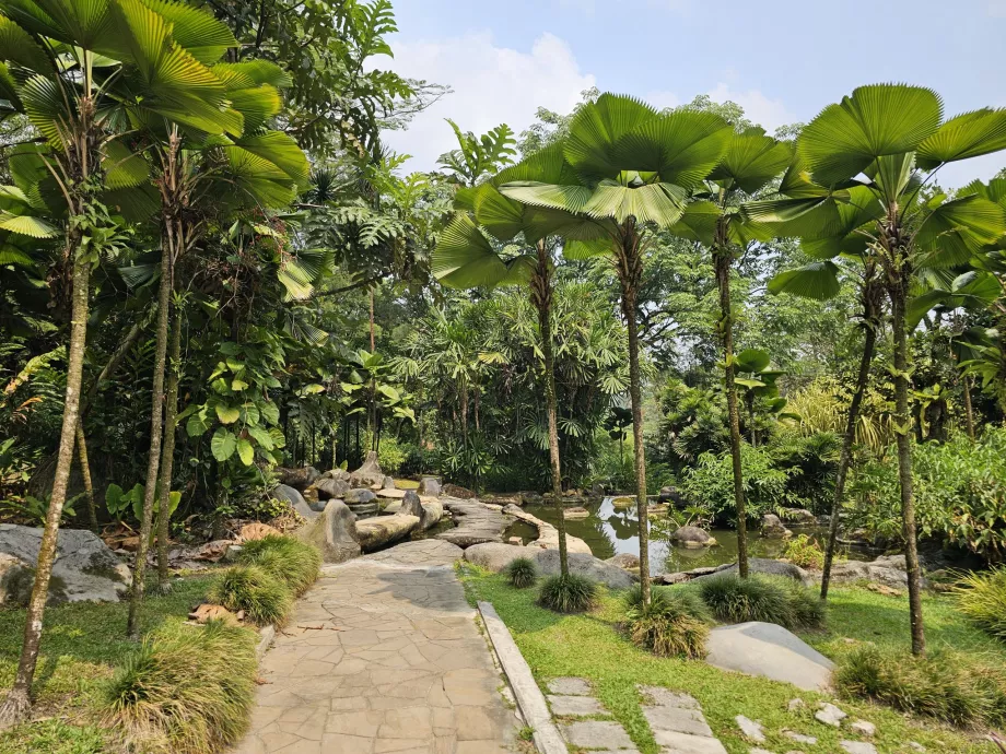 Ogród botaniczny