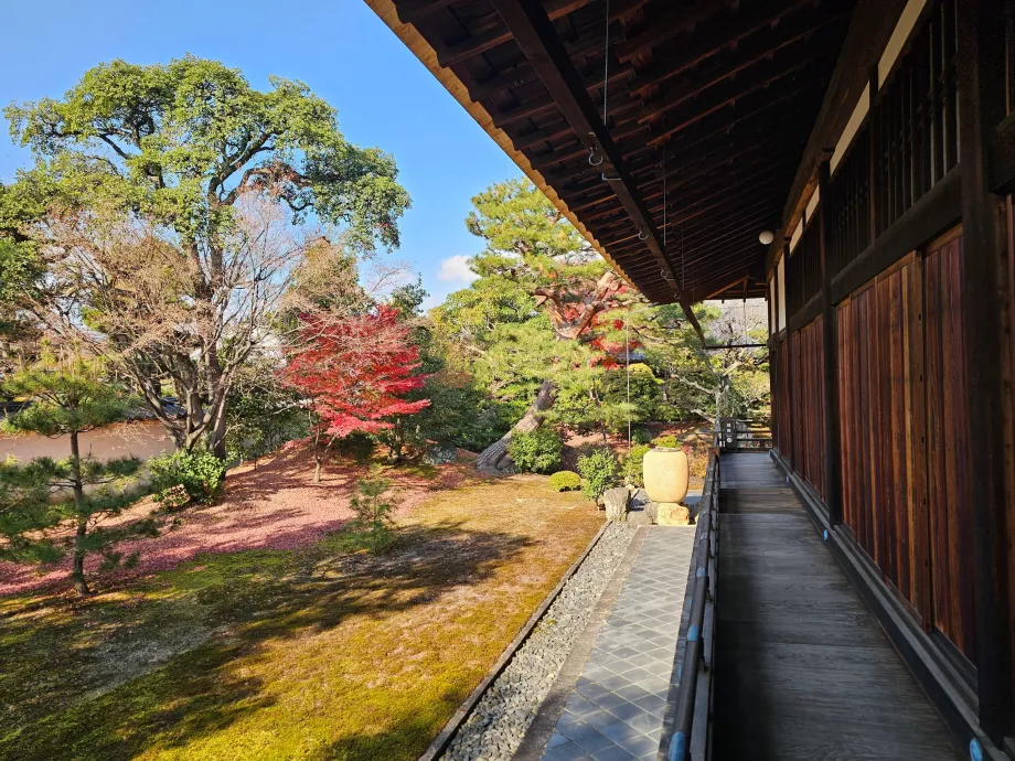 Świątynia Shokoku-ji