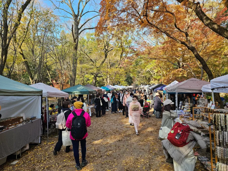 Droga do świątyni Shimogamo
