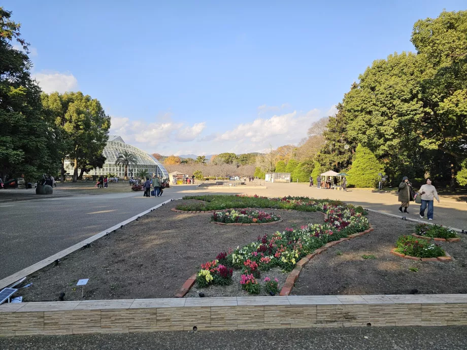 Ogrody botaniczne w Kioto