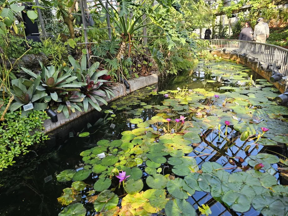 Ogrody botaniczne w Kioto