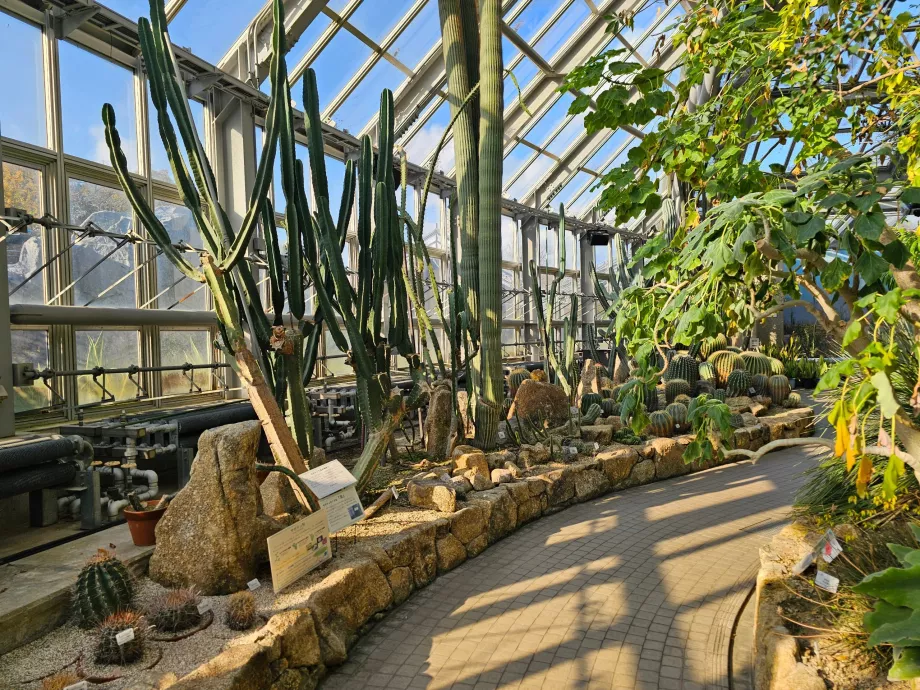 Ogrody botaniczne w Kioto