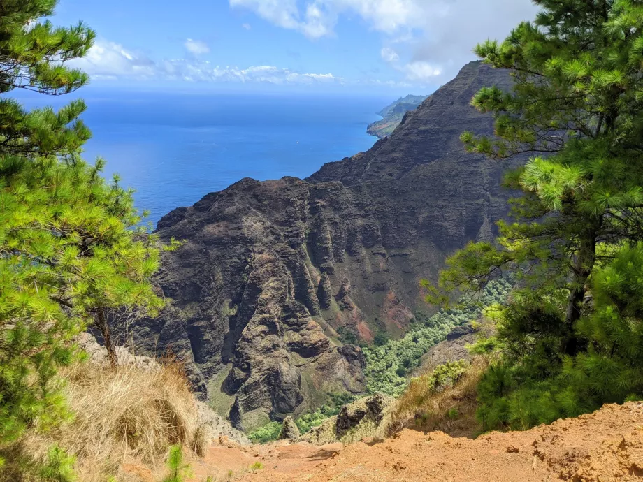 Widok Kauai
