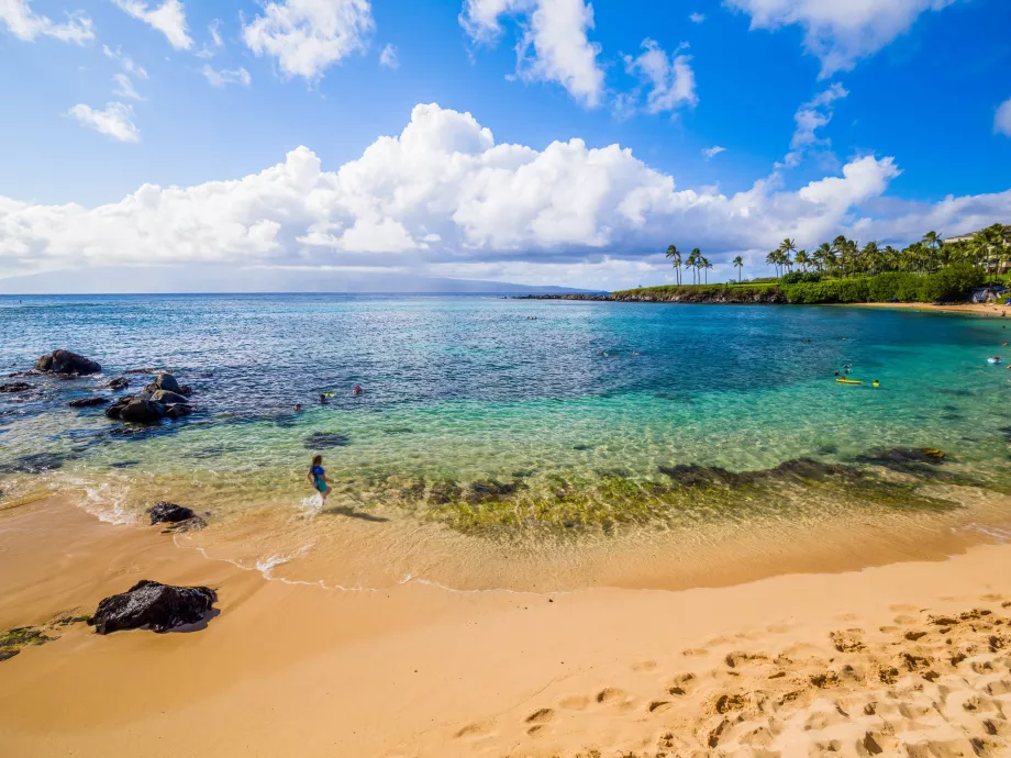 Zatoka Kapalua