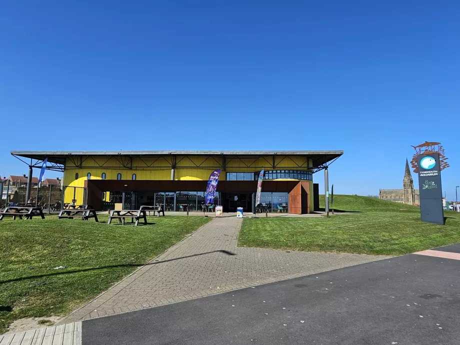 Akwarium Tynemouth