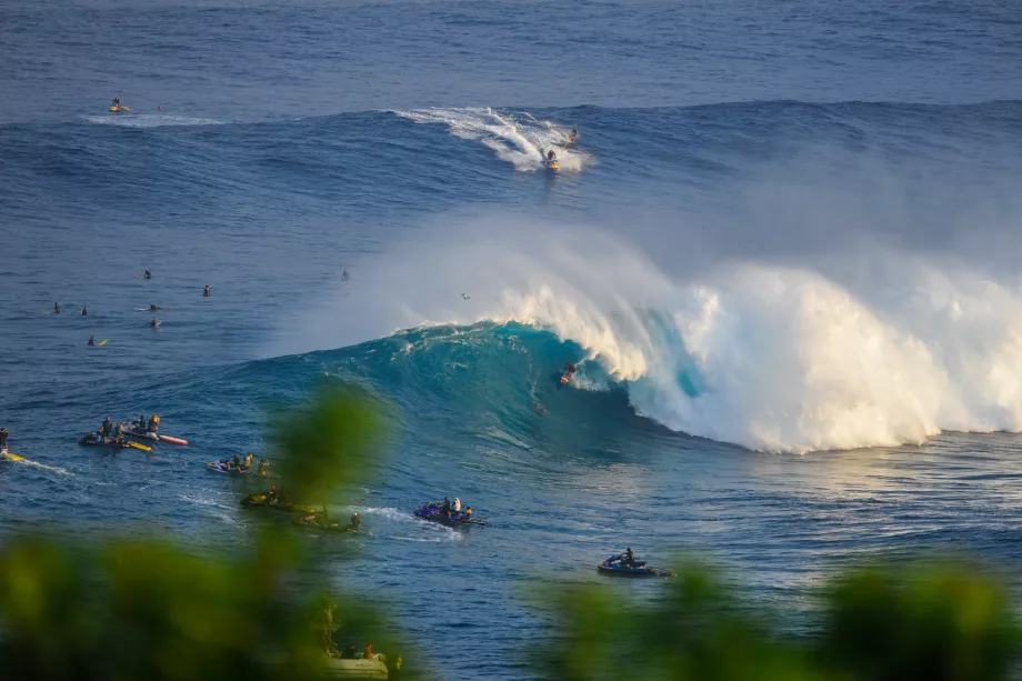 Surfowanie na Maui