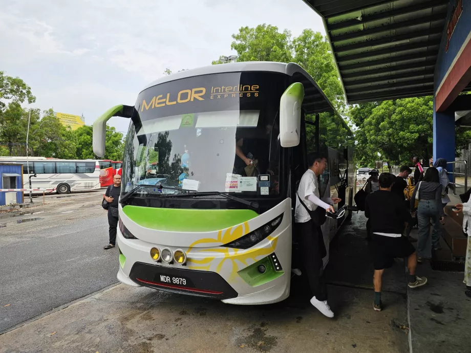 Melor Interline, trener