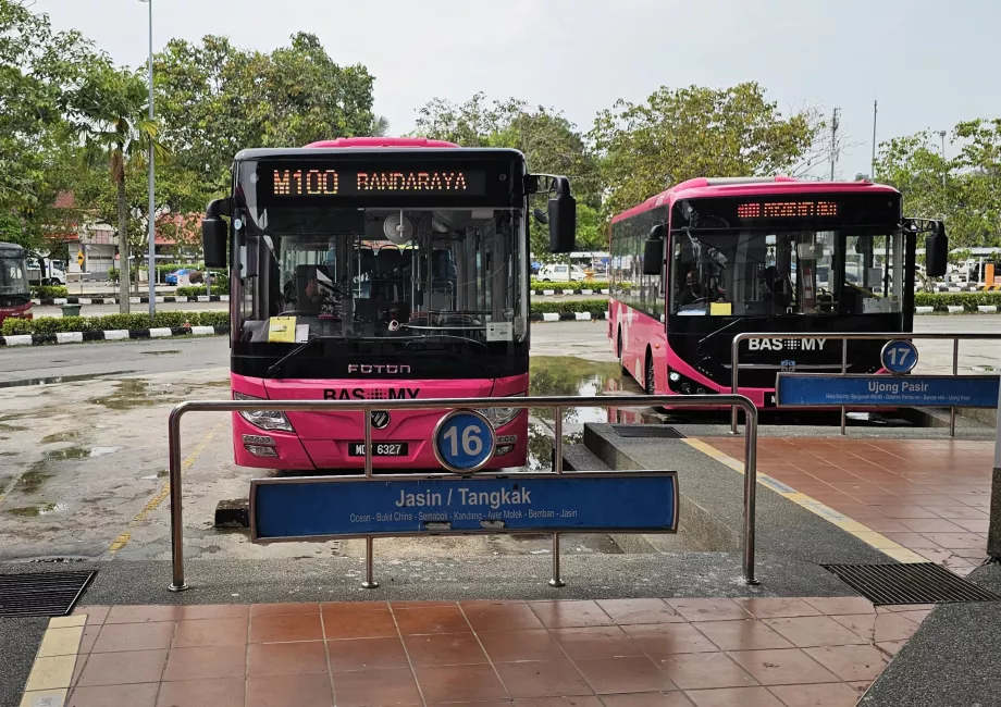 Autobus 100 z dworca autobusowego do centrum