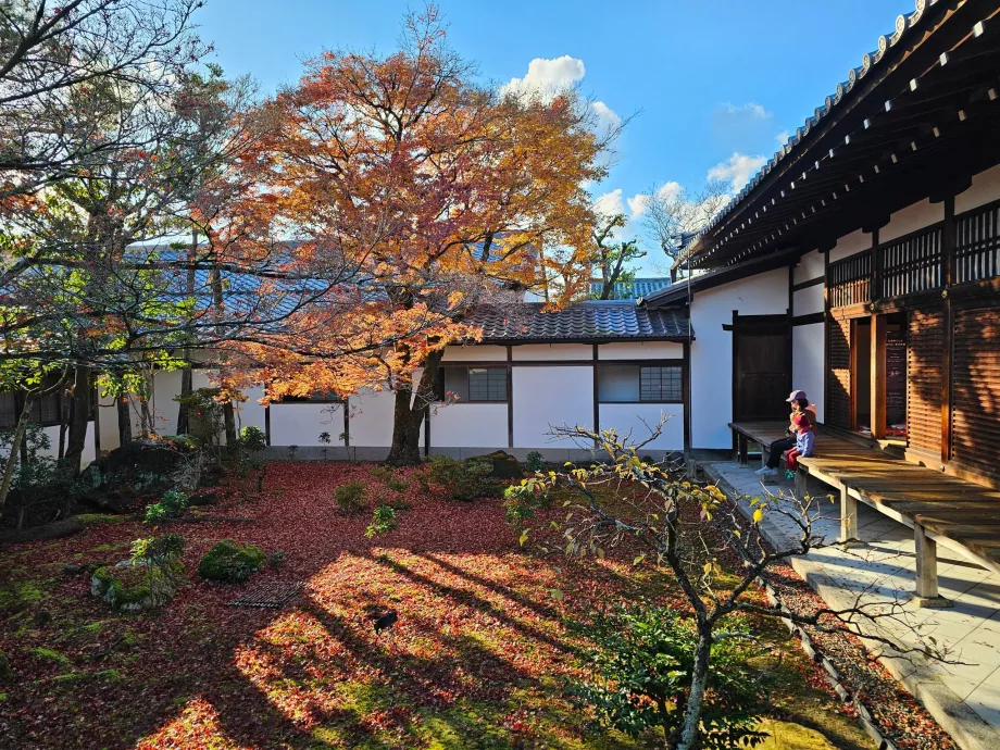 Świątynia Ninna-ji