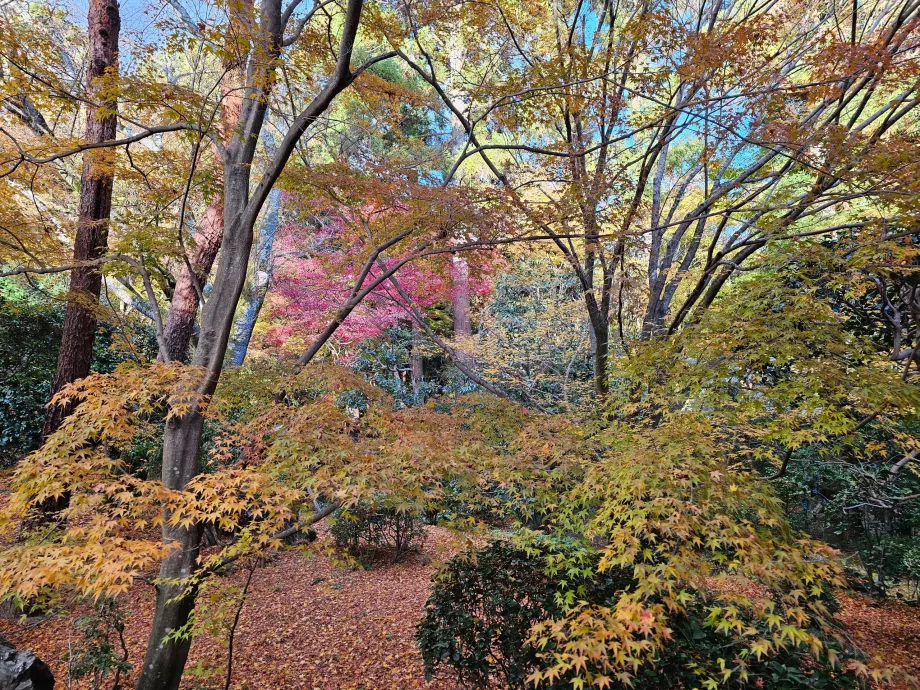 Świątynia Ryoan-ji