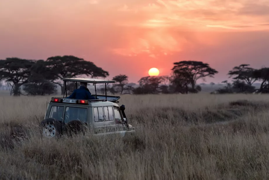 Safari in Kenya