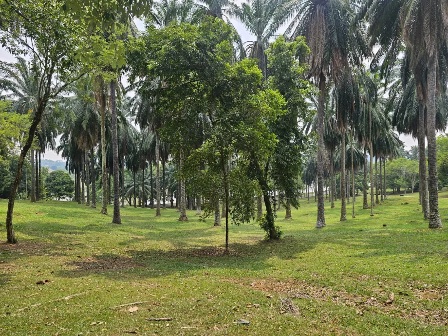 Ogród botaniczny