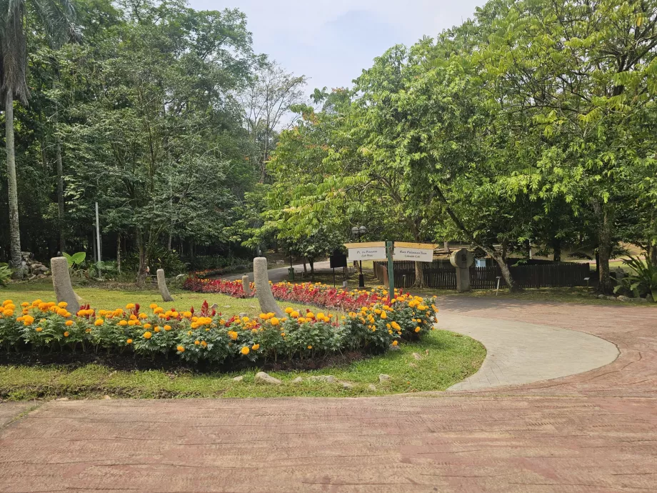 Ogród botaniczny