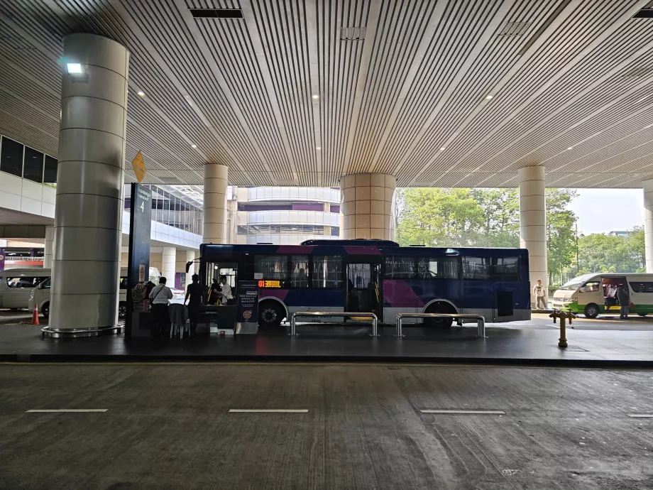 Przystanek autobusowy, Terminal 1