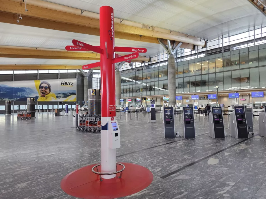Totem z norweskimi celami podróży