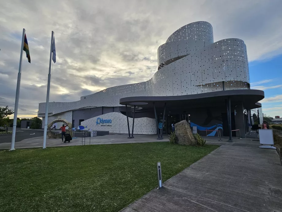 Oceanarium