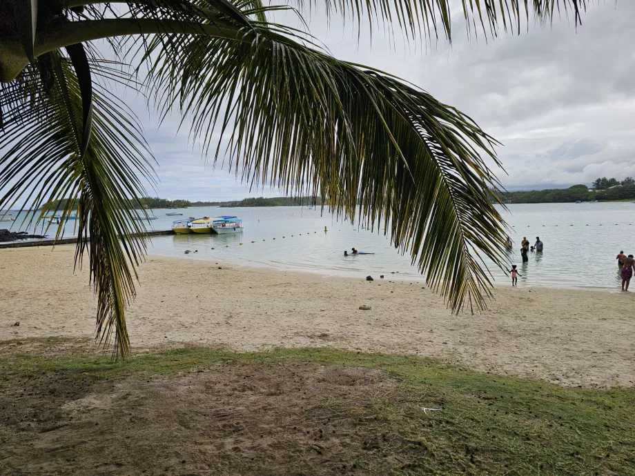 Blue Bay