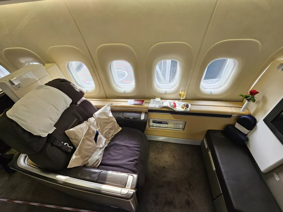 Fotel pierwszej klasy z 2 poduszkami