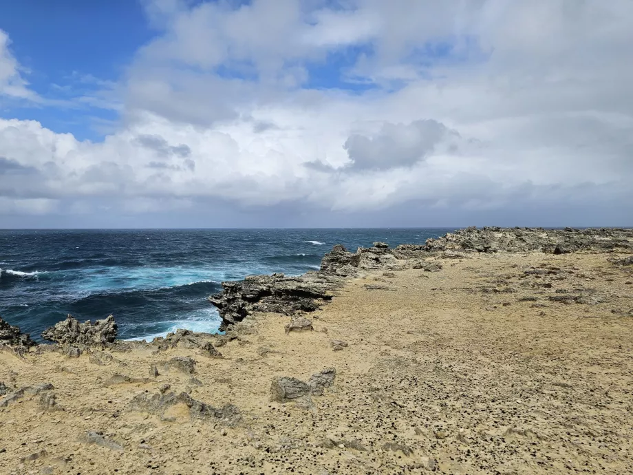 Ile au Phare