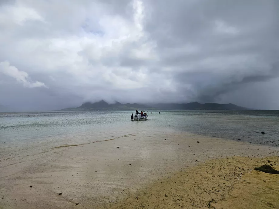 Ile au Phare