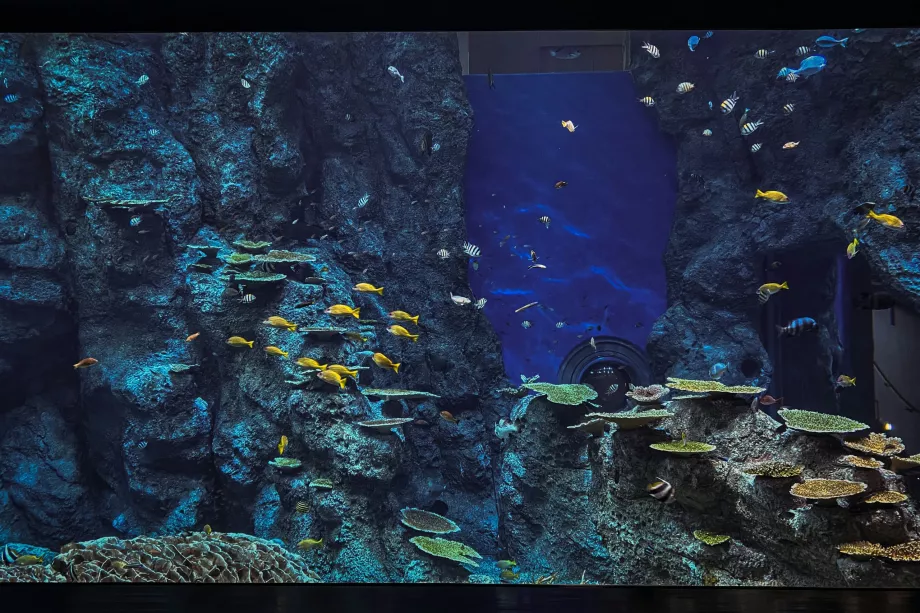 Sea Life Park