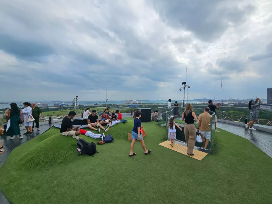 Obserwatorium Supertree