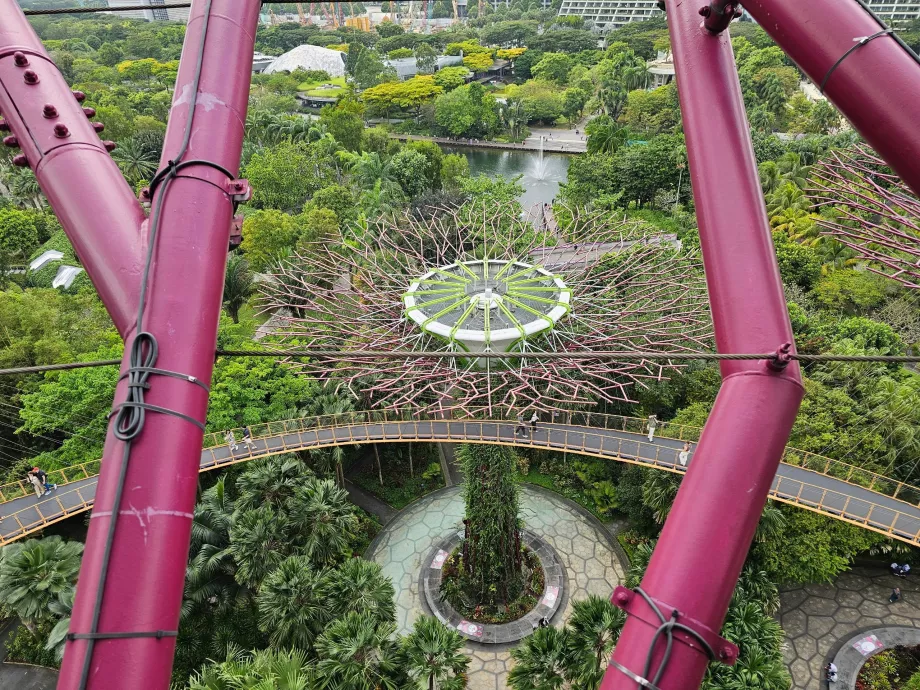 Obserwatorium Supertree