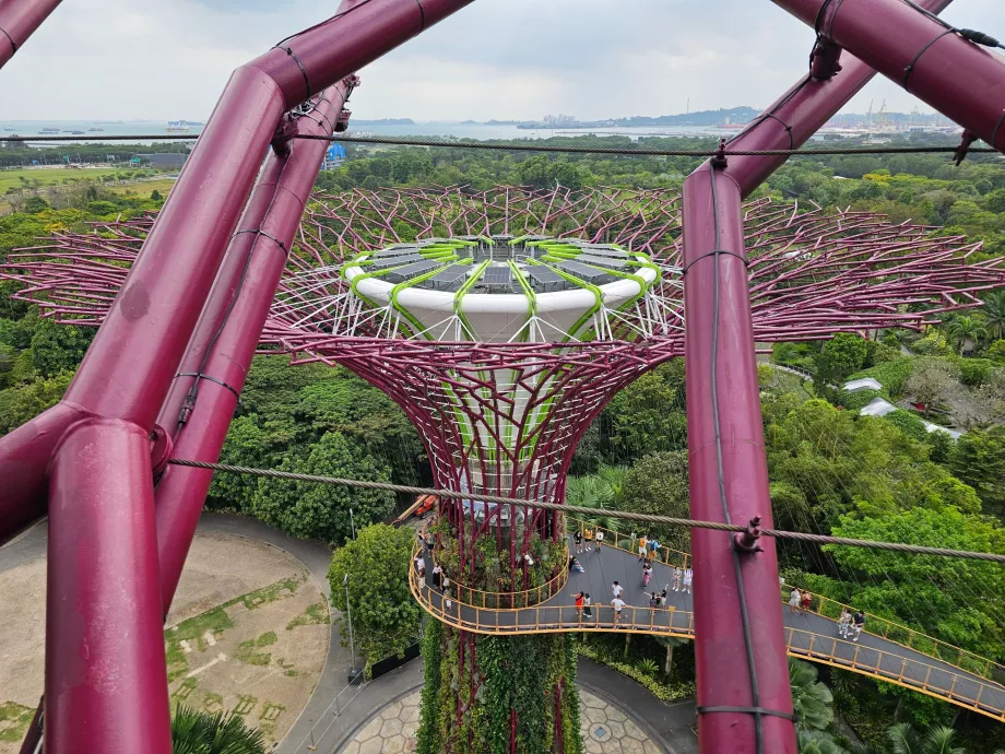 Obserwatorium Supertree