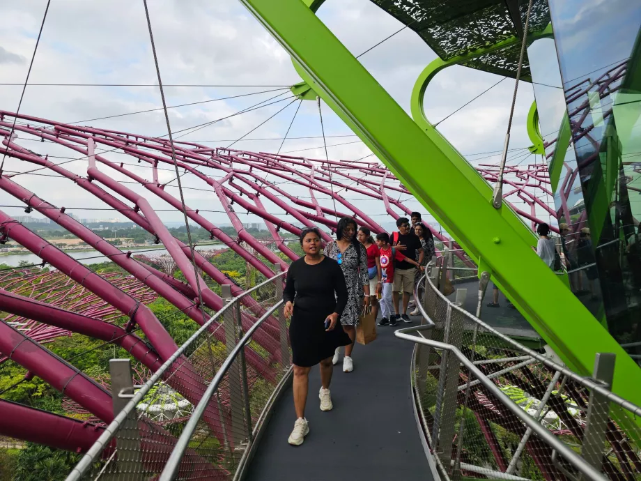 Obserwatorium Supertree