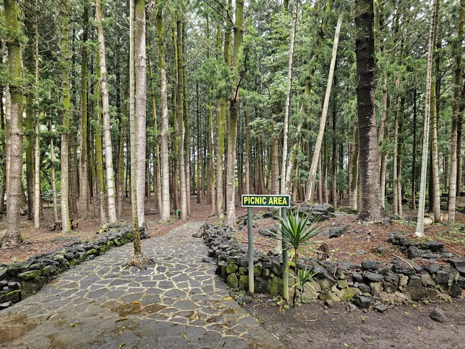Park Narodowy Bras d'Eau