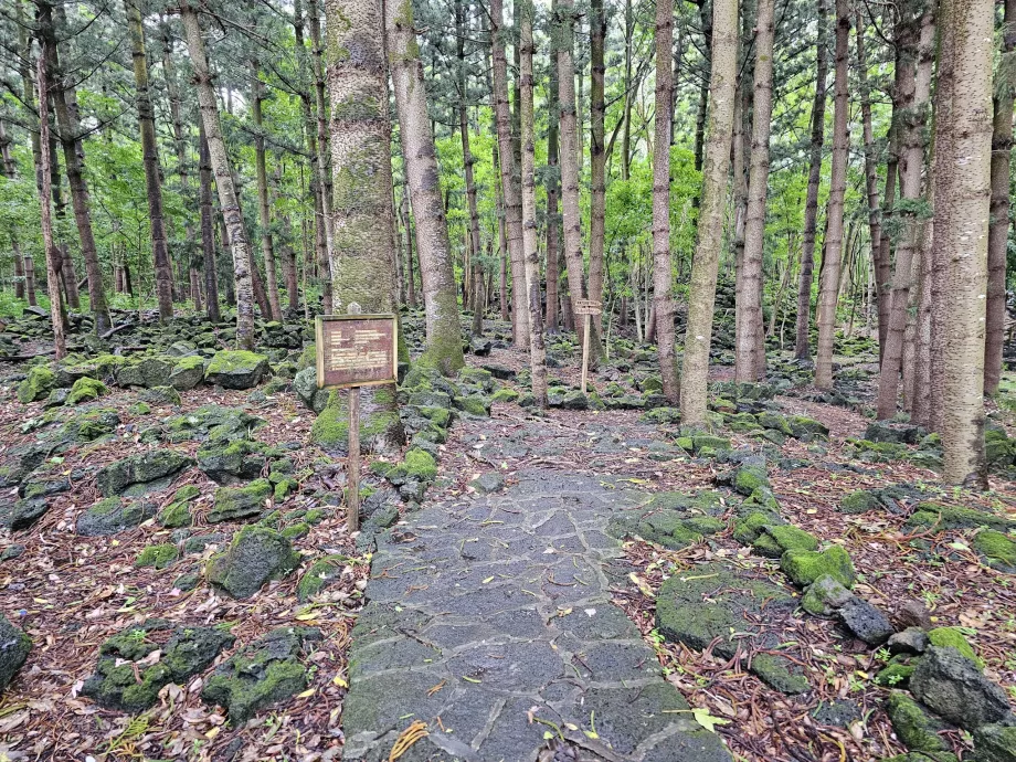 Park Narodowy Bras d'Eau, szlak turystyczny