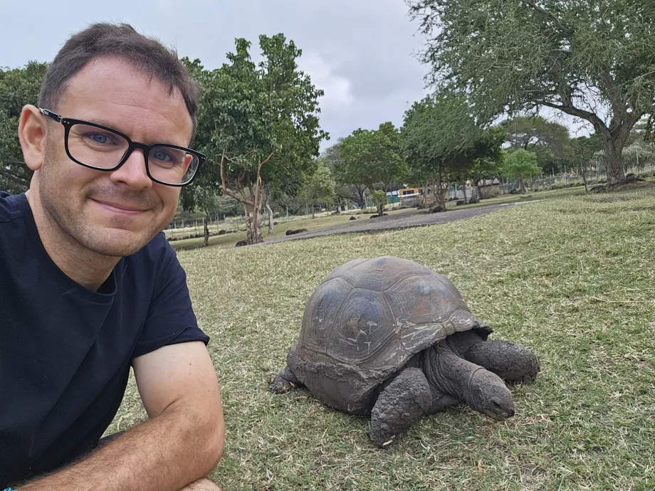Żółwie w zoo Casela