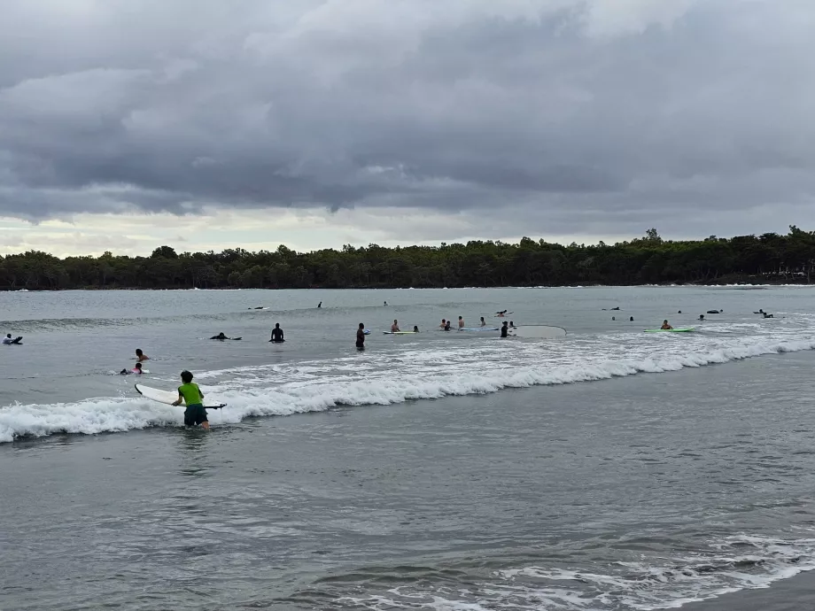 Surfing w Tamarin