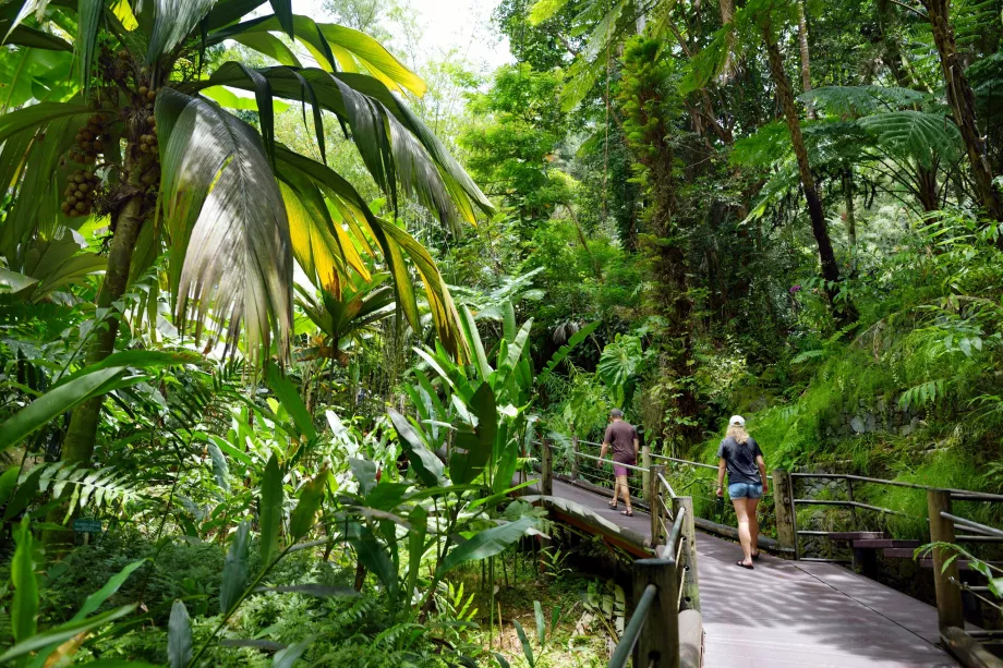 Tropikalny ogród botaniczny na Hawajach