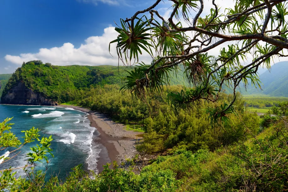 Szlak Pololu